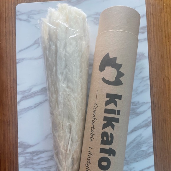 Pampas Grass - Picture 4 of 5